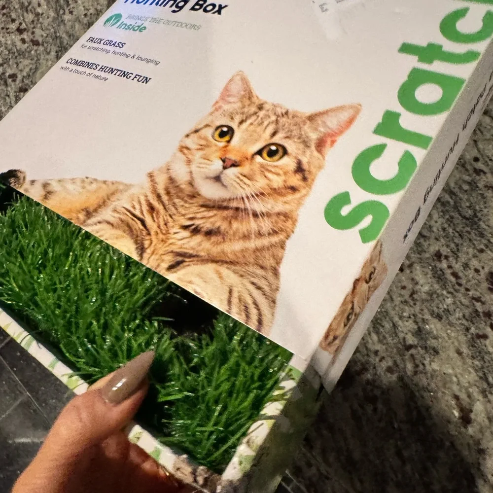 Grass Patch Hunting Box for Cats, water fountain, dry gravity feeder & toys lot